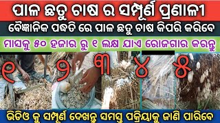 ପାଳ ଛତୁ ଚାଷ କରିବାର ସମ୍ପୂର୍ଣ ପଦ୍ଧତି /Full training for mushroom farming/Mushroom Cultivation Easily