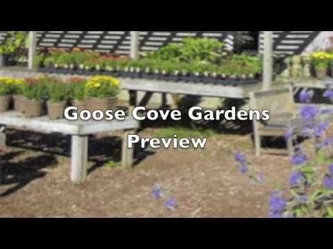 Goose Cove Gardens Preview 2011