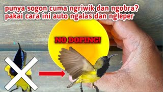 JENUH PUNYA SOGON KOK CUMA NGRIWIK GAK NGALAS2 DAN NGLEPER❓ini solusi paling jitu