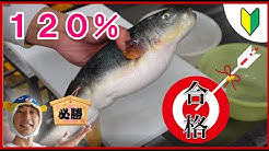 下関ふぐ屋 やまちゃん Japonais Fugu Youtube 下関ふぐ屋 やまちゃん Japonais Fugu Youtube