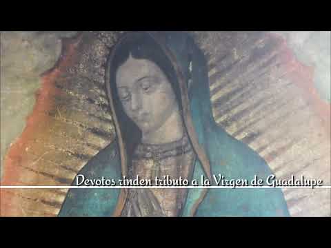 ‘¿No estoy yo aquí, que soy tu madre?’: Devotos rinden tributo a la Virgen de Guadalupe