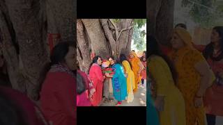 चमत्कारी पेड़ जिसमें से आती है बासुरी की आवाज |Lord Krishna| #Shorts #Youtubeshorts #Shortsvideo