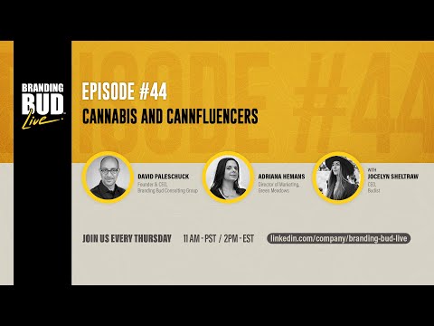 Cannabis and Cannfluencers - Branding Bud Live Episode 44