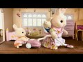 ずっとついてくる赤ちゃん￼👶🙌🏻｜シルバニアファミリー