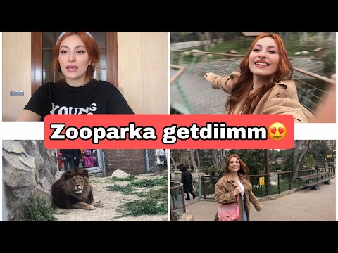 Video: Dərimiz zooparka bənzəyir