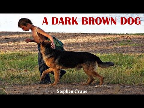 Video: A Story Of Love: A Little Brown Dog And His AgriChew