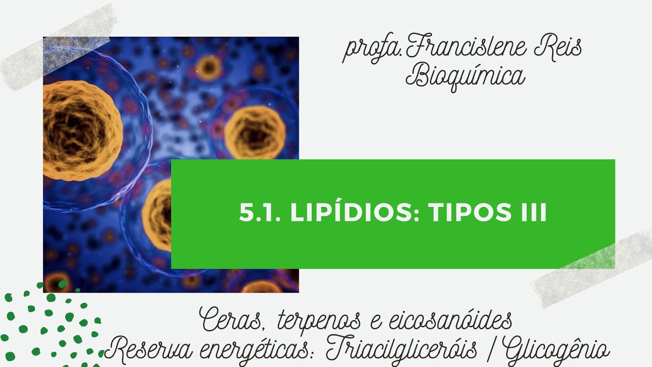 Dois Tipos De Lipídios Contidos No Organismo Humano