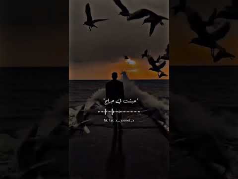 الكل راح وقت الكاشات حوده بندق حالات واتس حالات واتس حزينه السعودية مصر