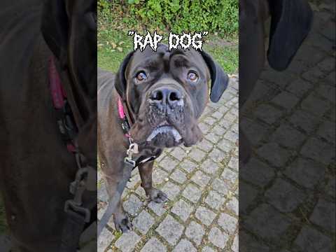 洋楽 G-RAP RUP DOG YouTube