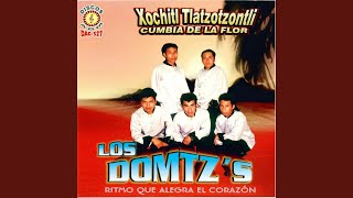 Miniatura de vídeo de "Los Domtz's - Xochitl Tlatzotzontli"