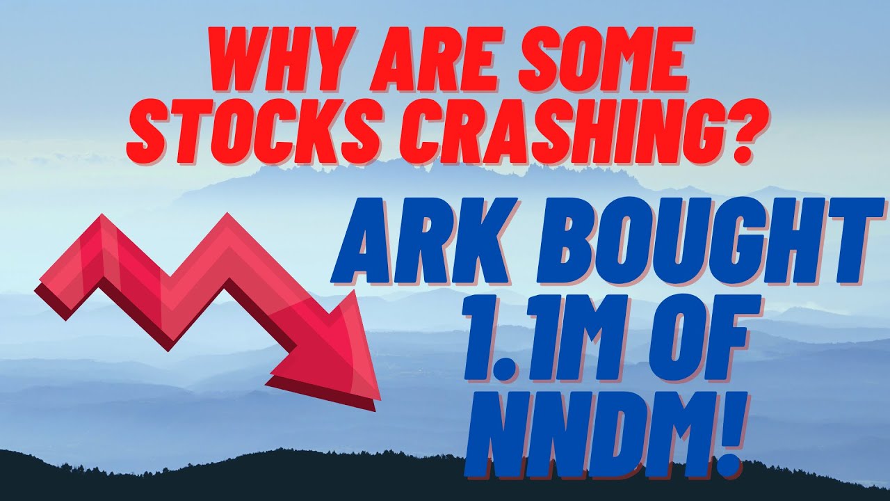 Why are some STOCKS CRASHING? NNDM UPDATE! YouTube