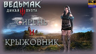 01. Ведьмак: дикая охота🐺🗡️🏰/ Сирень  крыжовник