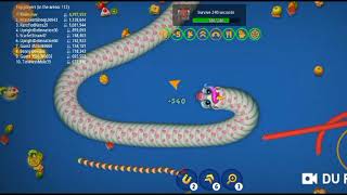 Worm Zone Snake Slither Snake Unicorn Snake