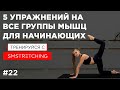 5 простых упражнений на все группы мышц для начинающих 🐣 | SM Stretching
