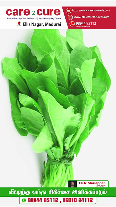பாலக் கீரை பயன்கள் / Care To Cure
