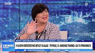 Γαβουνέλη: Ποια είναι η επήρεια των νησιών στο Αιγαίο – Πώς μπορεί να βρεθεί λύση με την Τουρκία