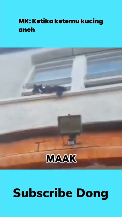 Meme Kucing Viral tiktok || Amadeketu