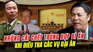 [PODCAST] Những cái chết "trùng hợp" đầy bí ẩn khi đang điều tra các vụ đại án.