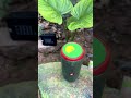green & yellow test on Jbl flip 6 #jblbasstest #speaker #jbl