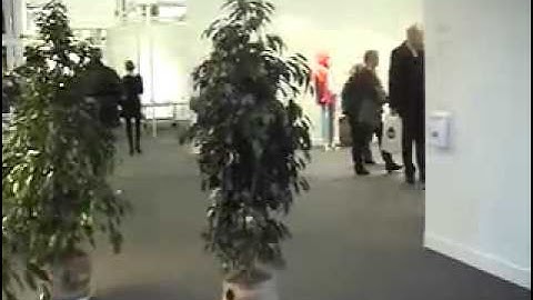 FIAC2010.mov