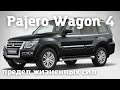 Mitsubishi Pajero Wagon и гены пампасской кошки