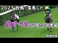 【競馬】2023 放馬・落馬した愛すべきカラ馬たち総集編 現地映像