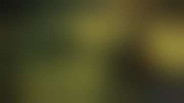 Killzone 2 PlayStation 3 Gameplay - Alamun Bridge