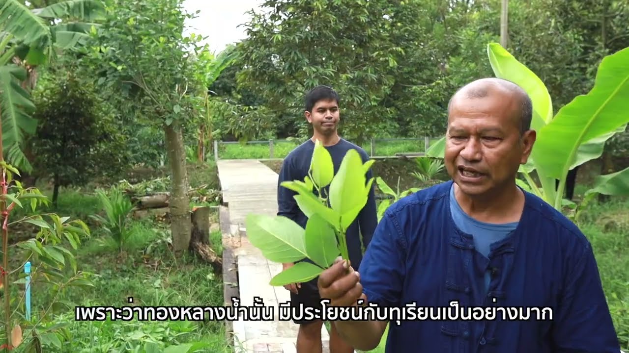 สวนตาก้าน ('68) พาชมแหล่งเรียนรู้ทุเรียนนนท์ |เปิดให้เข้าชมทุกวัน ไม่มีวันหยุด