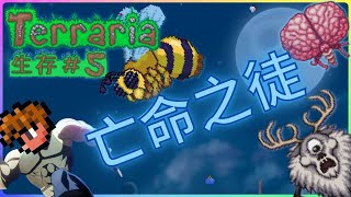 泰拉瑞亞之東山再起|Terraria |泰拉瑞亞大師模式生存 Ep.5