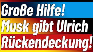 Musk steps in! +++ Judges went too far! +++ Greens are criminals! +++ Bild is going rogue!