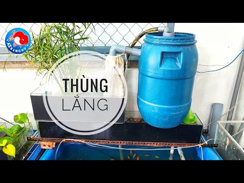 Video Fish 32: Cách làm thùng lắng mini, sử dụng cho lọc... - youtube