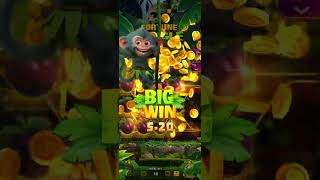 3000 loss gogo rammy 10rs bet screenshot 2