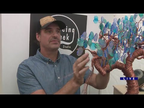 Something for everyone at Gold Coast Art Fair - WGN News