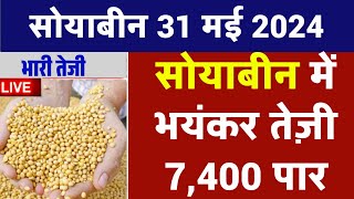 सोयाबीन भाव 31 मई 2024 | Soya Plant Bhav | Soyabean Ka Bhav | Soya Rate Today | Soya Bhav