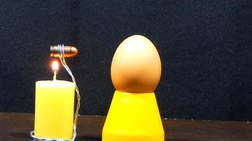 Bullet Vs Egg Experiment | #shorts #ytshorts