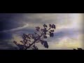 Darko Duilo - Mouthwashing Proposition (2022)