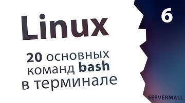 #6. Команды bash и основные программы / Linux