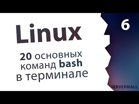 #6. Команды bash и основные программы / Linux