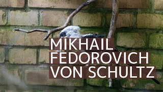 Mikhail Fedorovich von Schultz