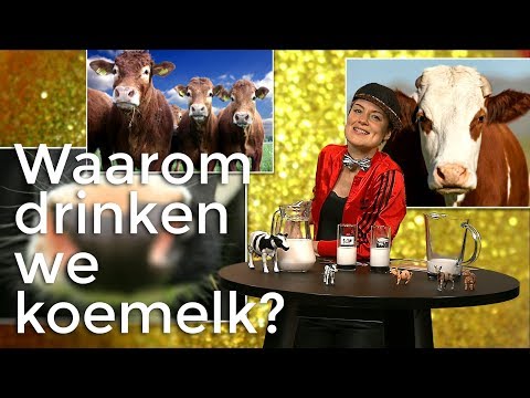 Video: Waarom Droomt Melk?