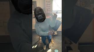 Masked reader day 3