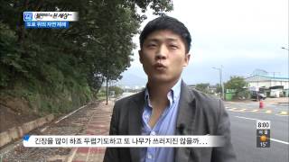 모닝와이드 130916 #9(4)
