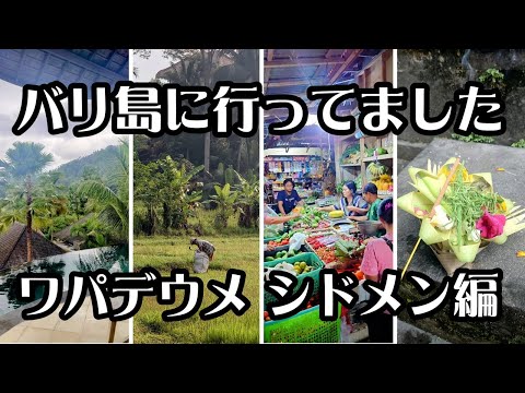 【与論島移住Vlog#87】バリ島に行ってました。ワパデウメ・シドメン (Wapa di Ume Sidemen) 滞在記