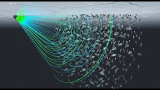 Winter Crappie Fishing With Livescope