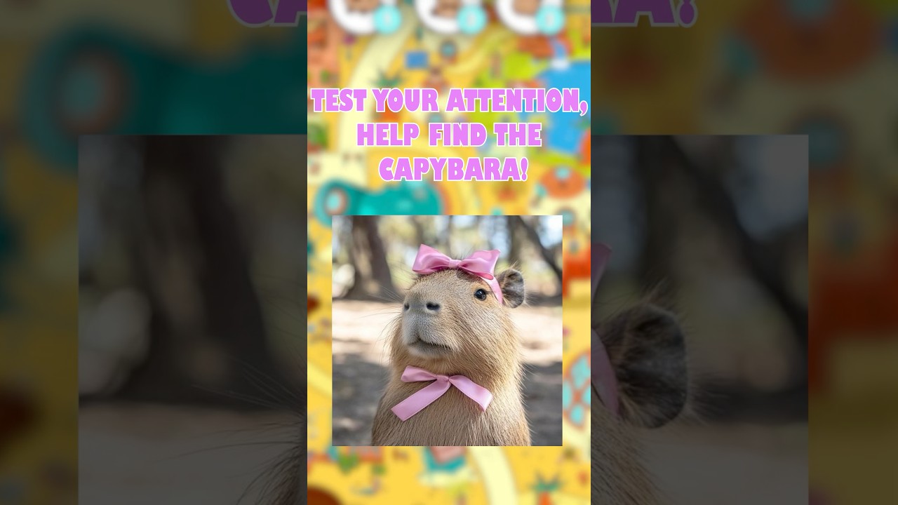 WOW Сapybaras Hidden Objects Game!! 