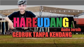 HAREUDANG PASUKAN PERANG NESTAVA KOPLO ( Karaoke Dangdut Tanpa Kendang )