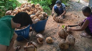 How To Make Coconut Milk Traditional Cooking In Rural Thailand