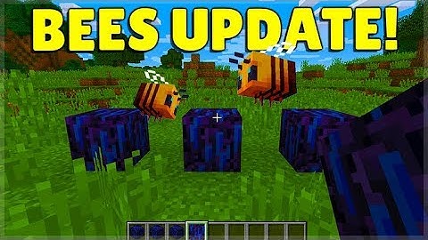 Minecraft BEES Update Release! - Crying OBSIDIAN Return & Nether Update Features