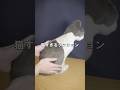本物の猫のような手触り。 #ライフスタイル #プレゼント #新生活 #pr #猫