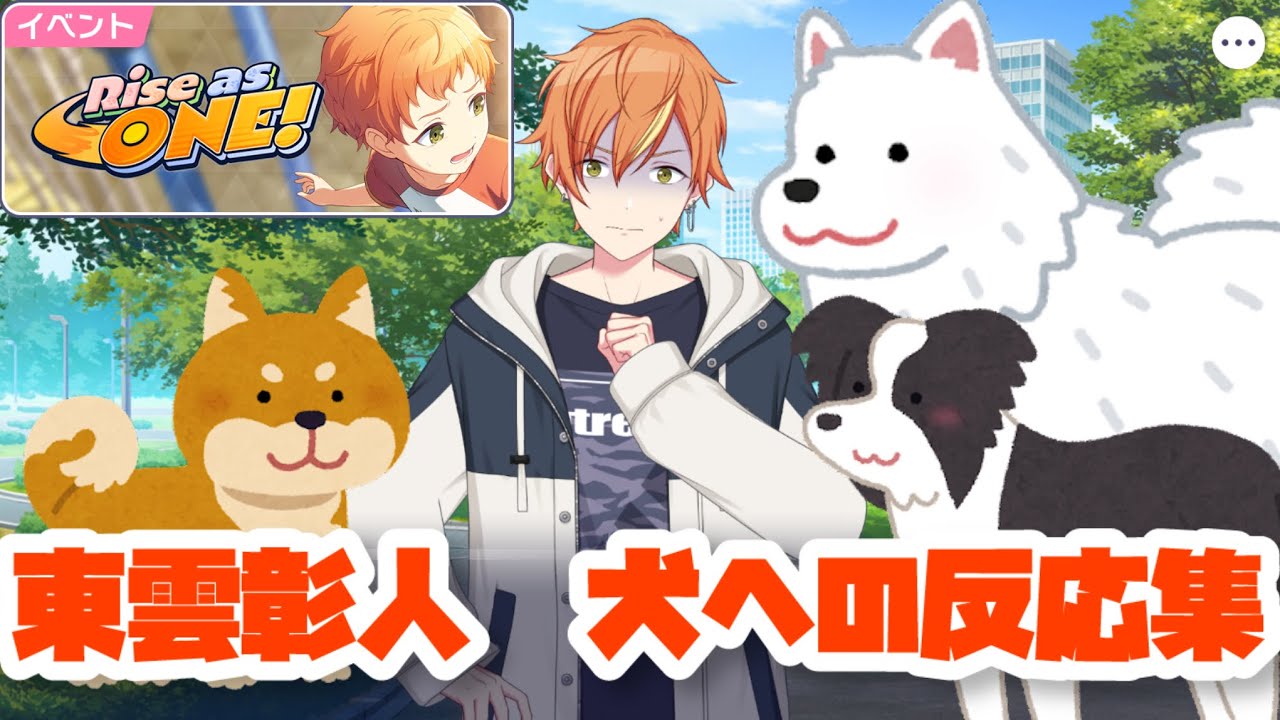 プロジェクトセカイ プロセカ 犬イベ 東雲彰人 プロセカ】混合イベスト『Rise as ONE!』東雲彰人が犬に近寄られて
